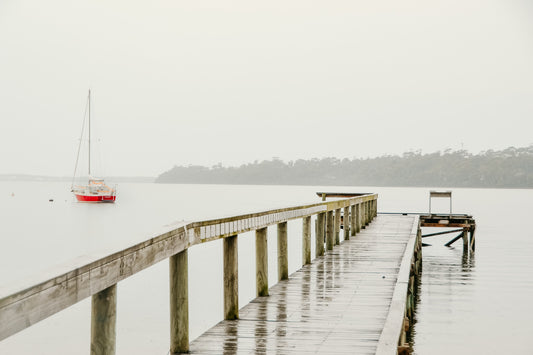 Foggy Morning Sail - Canvas Print