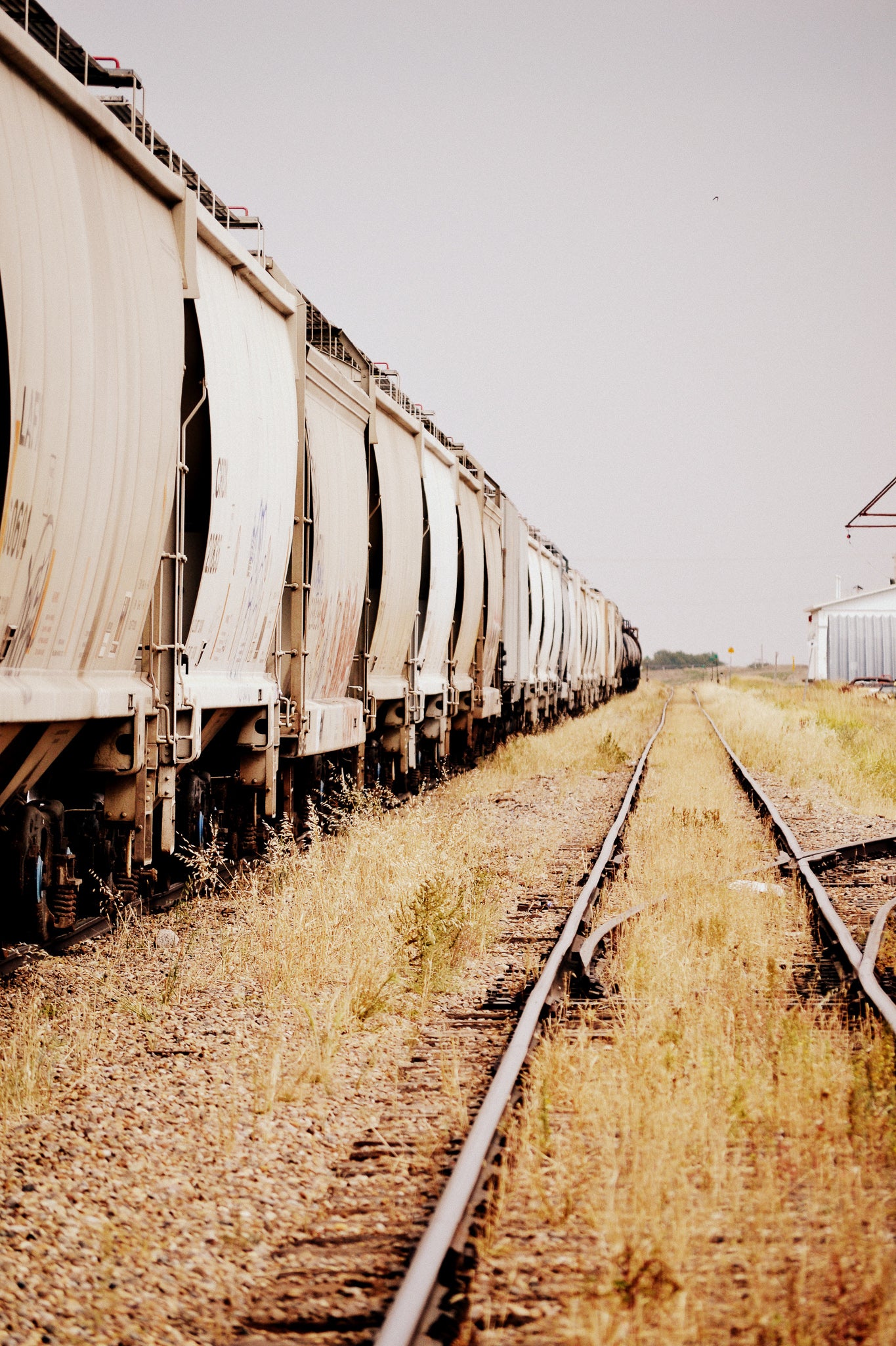 Train Yard - Canvas Print