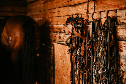 Tack Shack - Canvas Print