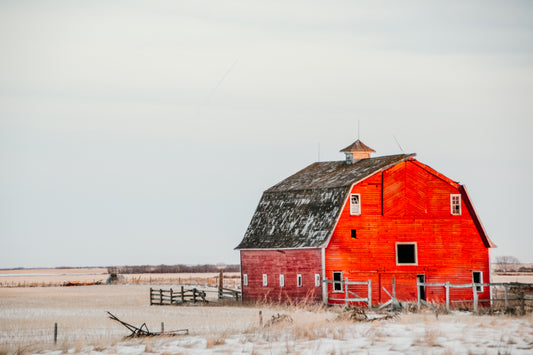 The Old Red Barn - Canvas Print