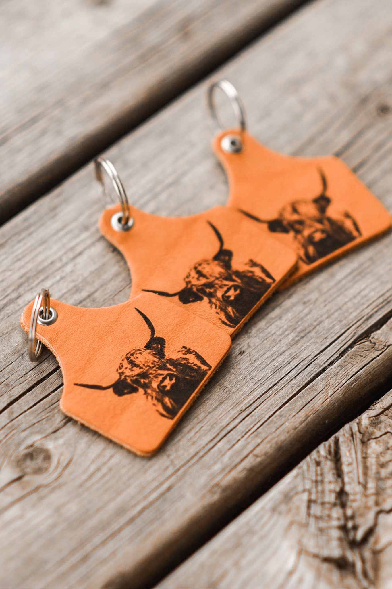 Highland Steer Keychain